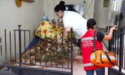 Tepebaşı'nda dayanışmanın adı binlerce kişinin hayatına dokundu