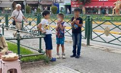 Küçük çocukların kuş tartışması