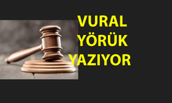 Kayyumistan’da Bir Gün