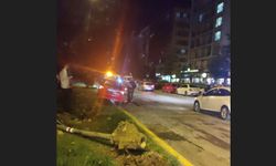 Alkollü sürücü yayalara çarptı: 1 ölü, 1'i ağır 2 yaralı