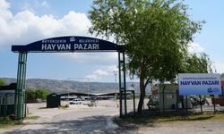 Büyükşehir Hayvan Pazarı Geçici Olarak Kapatıldı