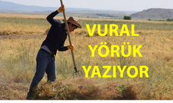 Toprağın Sessiz Çığlığı