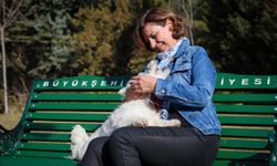 Hayvan hakları hukuki vicdani ve toplumsal bir zorunluluktur