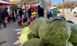 Eskişehir pazarında devasa lahanalar