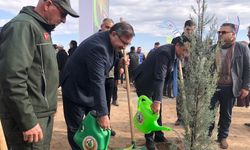 11 Kasım Milli Ağaçlandırma Günü'nde 20 bin fidan dikildi