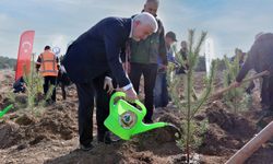 TEI'den 17 bin fidanlık 40. Yıl Hatıra Ormanı