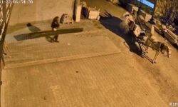 35 bin liralık eşyaları çalan şüpheliler aynı gün içinde yakalandı