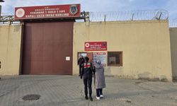 4 ilde hırsızlık operasyonu: 4 kişi tutuklandı