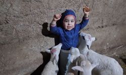 Kuzuların arasında kalan minik Yusuf’un tatlı halleri gülümsetti