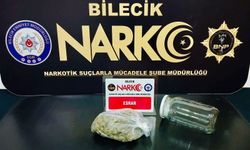 Dedektör köpeği 'İntel'den esrar operasyonu