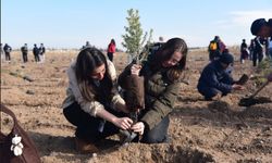 6 bin fidan doğayla buluştu