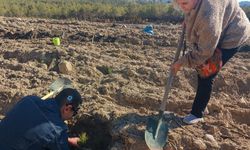 Engelli Bireylerden Seyitgazi’de Fidan Dikimi