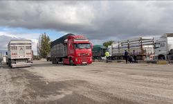 Pancar yüklü tır polis ekiplerinin 'Dur' ihtarına uymadı