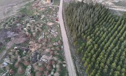 Bir yanda yeşil ağaçlar bir yanda çöp yığınları