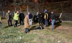 Yoldan çıkan araç su kanalının korkuluklarına çarptı