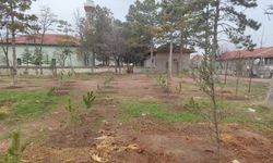 Umraniye köylüleri 300 adet fidanı okul ve camii bahçesine dikti