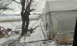 Sakintepe'de seralar buz tuttu