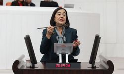 “Kantarın topu kaçtı bütçede de memlekette de denge kalmadı”