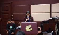 Geleceğin Siyasetçileri Büyükşehir Meclisi’nde