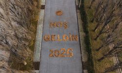 Yapraklarla Yazılan Sımsıcak Karşılama