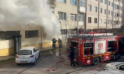 Kediler ısınsın diye kullanılan elektrikli ısıtıcı yangına sebep oldu