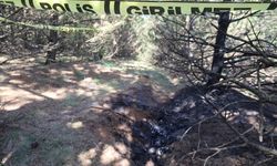 Vahşi cinayet zanlısı önce boğmuş sonra 2 gün art arda yakmış