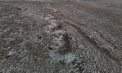 Eskişehir’deki köyde ilginç arazi sıkıntısı