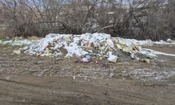 Boş araziye bırakılan atıklar tepeler oluşturdu