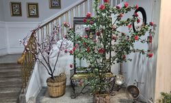 Eskişehir Olgunlaşma Enstitüsünde atık şişeler gül oldu