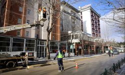 Büyükşehirden Kent Merkezinde Kış Budaması