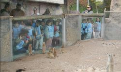 Büyükşehirden 2025’te Doğaya Ve Can Dostlara Tam Destek