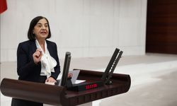 Emekli Veteriner Hekimler Yarı Maaşa Mahkûm Edildi