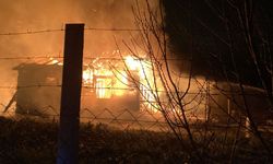 Bağ evinde çıkan yangın diğer bağ evine de sıçradı