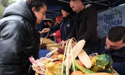 Yerel Tohum Takas Günleri Mihalgazi Ve Sarıcakaya’da Gerçekleştirildi