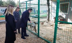 Başkan Ataç Doğal Yaşam Merkezi’nde İncelemelerde Bulundu