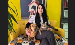 Veteriner kliniğindeki kedi ve köpek arasındaki ilginç dostluk