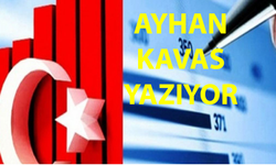"Nas” Söylemiyle Başlayan Sürecin Türkiye Ekonomisine Maliyeti