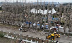 Ekolojik Ömrünü Tamamlayan Kavaklar Yerini Çınarlara Bırakıyor