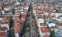 Hamamyolu Caddesi’nde Ağaç Budama Çalışması Başlıyor