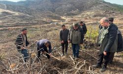 Eskişehir’de yangın sonrası ağaçlandırma çalışmaları