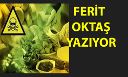 Gıda Terörü Ciddi Bir Sorun...