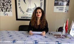 "Tüm kadınları örgütlü mücadeleye çağırıyoruz"