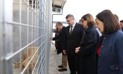 Eskişehir Büyükşehir Belediyesi Hayvan Bakımevi Açıldı