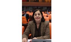 CHP’li Jale Nur Süllü: Kararname Geri Çekilsin Hastane İnşaatına Başlansın