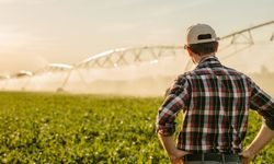 Çiftçiler Elektrik Aboneliklerini Bir Telefonla Açabiliyor