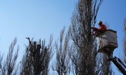 Sazova’da Çalışmalar Devam Ediyor