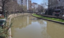 Porsuk Çayı kahverengine büründü