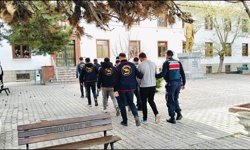 Çobanları hamama götürüp oyaladılar 36 büyükbaş hayvanı çaldılar