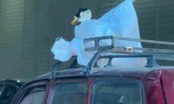 Aracın üzerindeki kazın ilginç yolculuğu