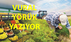 Toprağın Sesi Duyulmuyor